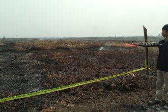 petugas memasang garis polisi pada lahan yang hangus