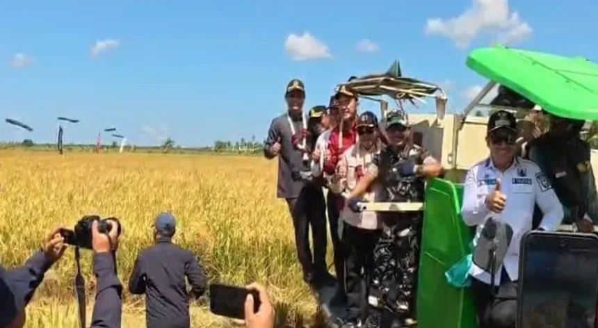 Panen 25.817 Hektare, Kapuas Perkuat Peran sebagai Penyangga Pangan Kalteng