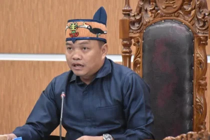 Wakil Ketua II DPRD Kabupaten Kapuas, Kalimantan Tengah, Berinto
