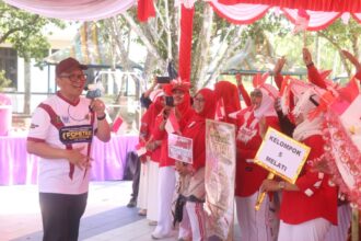 Posyandu Tabalong Smart
