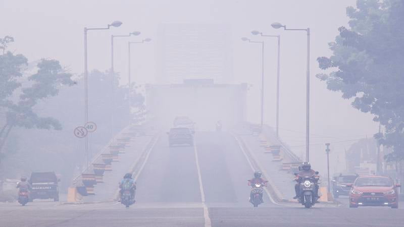 188 Puskesmas Disiagakan Hadapi Dampak Kabut Asap Karhutla di Kaltim
