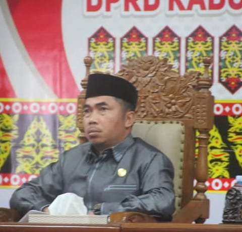 Ketua DPRD Kabupaten Pulang Pisau, Tandean Indra Bela
