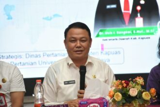 Kapuas Susun Raperda LP2B, Lindungi 45.006 Hektare Lahan Sawah