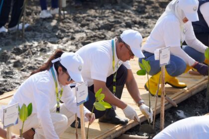 Jaga Pesisir Pantura, Pelindo Dukung Pemulihan Ekosistem Mangrove di Demak