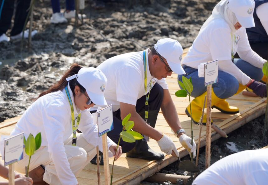 Jaga Pesisir Pantura, Pelindo Dukung Pemulihan Ekosistem Mangrove di Demak