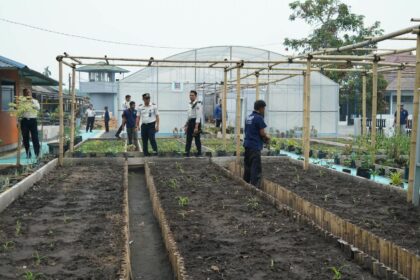 Warga Binaan Lapas Kelas IIA