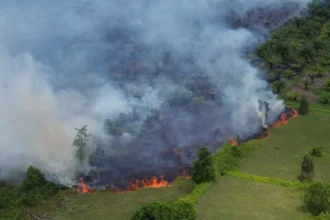 Tawaran Bantuan Malaysia untuk Padamkan Karhutla Belum Dibahas Prabowo, Pemadaman Andalkan Operasi Darat